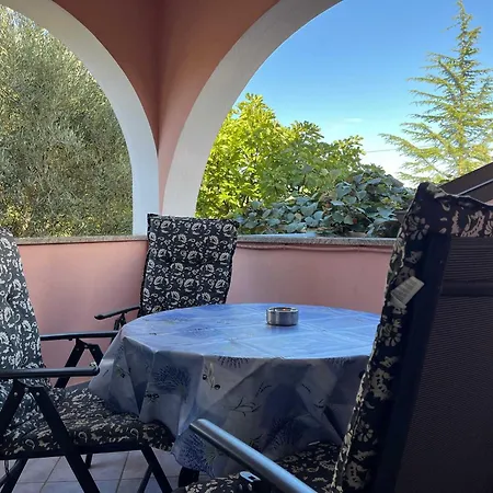 Mira * Вантачичи